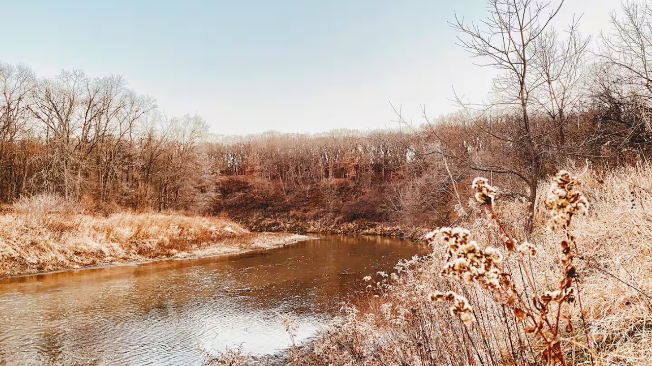 Creek running through the property