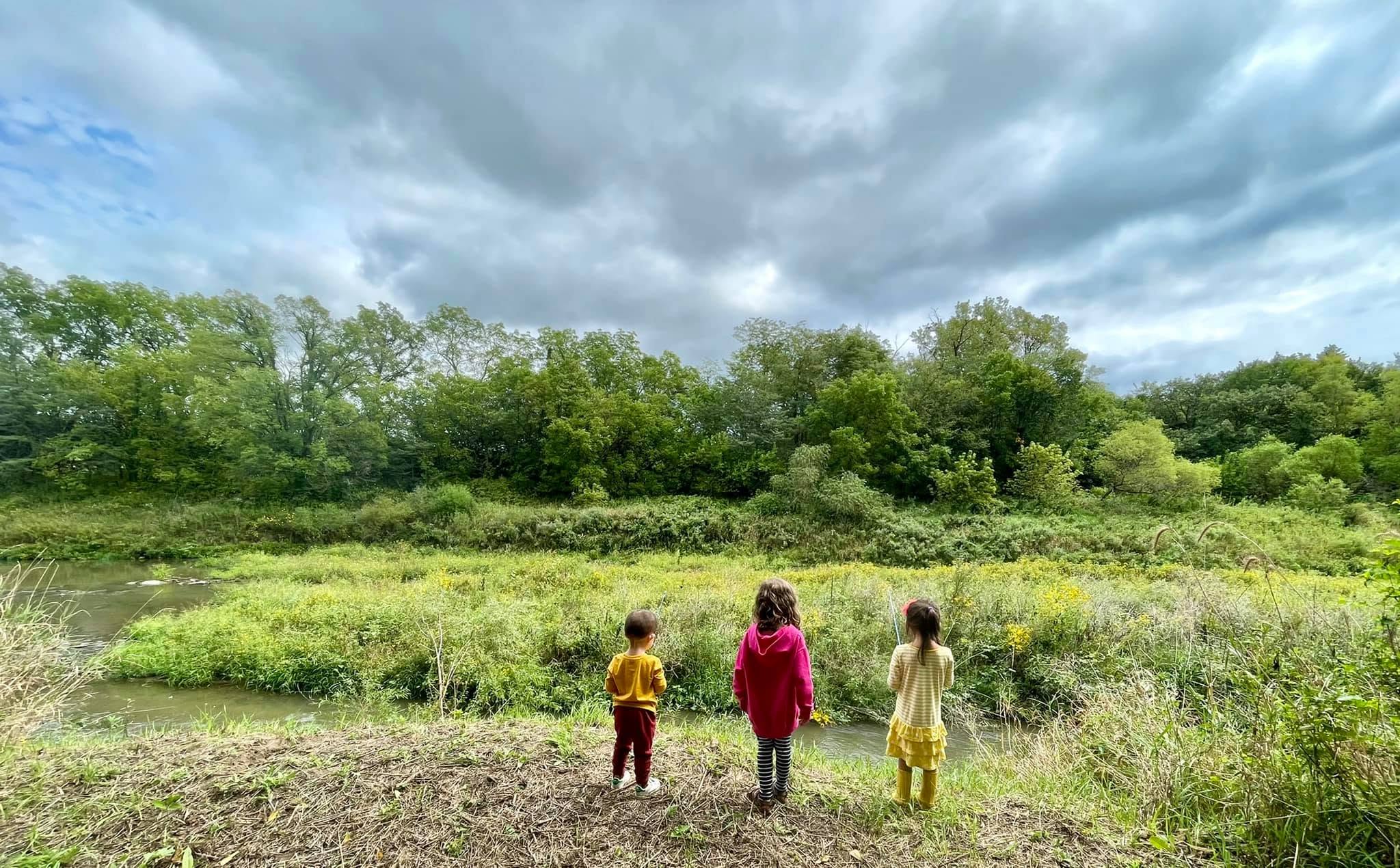 Native prairie landscape at Rooted Timbers