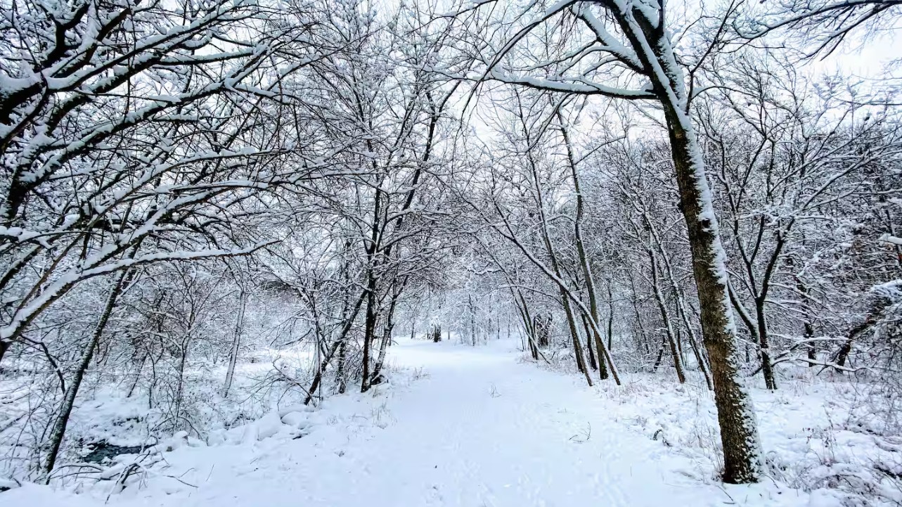 Property in winter snow